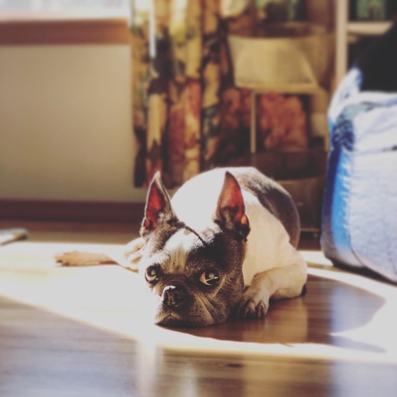 • Welcome! • - Picture 3 of 7